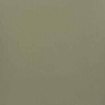 Solid color sample of muted earthy green, “801 salvia”, with consistent tone and subtle texture under diffused, even lighting.