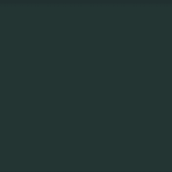 Dark green color field, matte finish, uniform tone, smooth surface, deep shade evoking stillness, consistent throughout the composition.