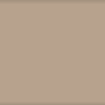 Warm taupe color field, matte finish, uniform composition, flat plane, consistent tone, no texture, neutral background, solid color.