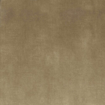 Peplo 18 Grigio tortora