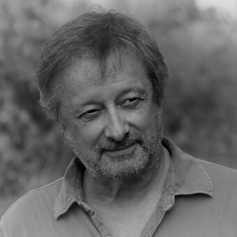 Portrait of Carlo Cumini, a man with gray hair and beard, wearing a light collared shirt, soft lighting, blurred natural background.