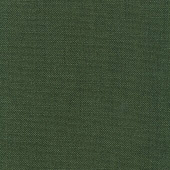 Green fabric swatch r750 col.38 displays a tightly woven texture with a granular surface and consistent, deep green coloration under even lighting.