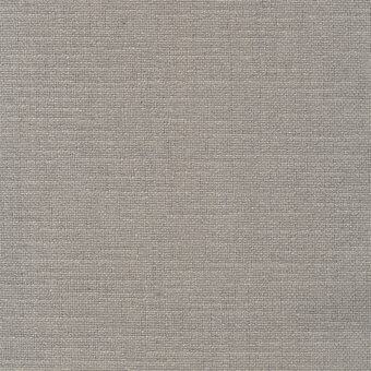 Woven fabric texture, muted gray tone, dense regular weave with granular surface, matte finish, cool gray variations, r754 col.54.