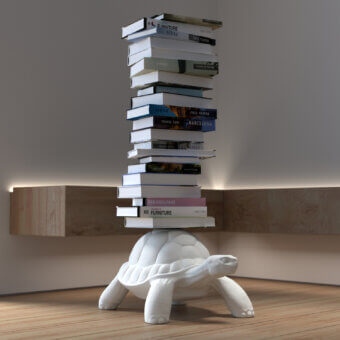 Turtle Carry Bookcase
