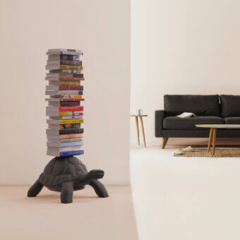 Turtle Carry Bookcase