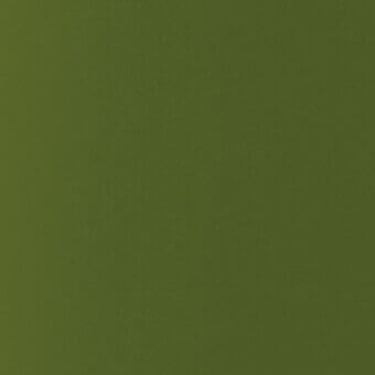 Moss green color swatch, matte finish, displays a subtle gradient from darker to lighter tones, with even lighting and muted saturation.