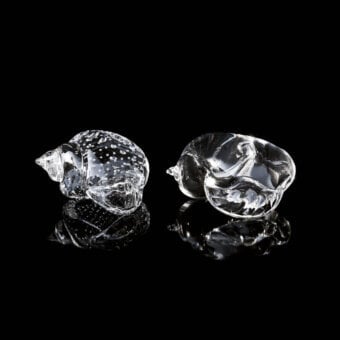 Glass nautilus shell sculptures by Duccio Di Segna on black, showing textured and smooth spiral forms with reflective base details.