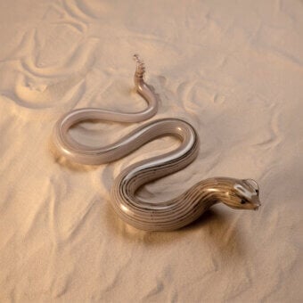 Snake Decorative Sculpture