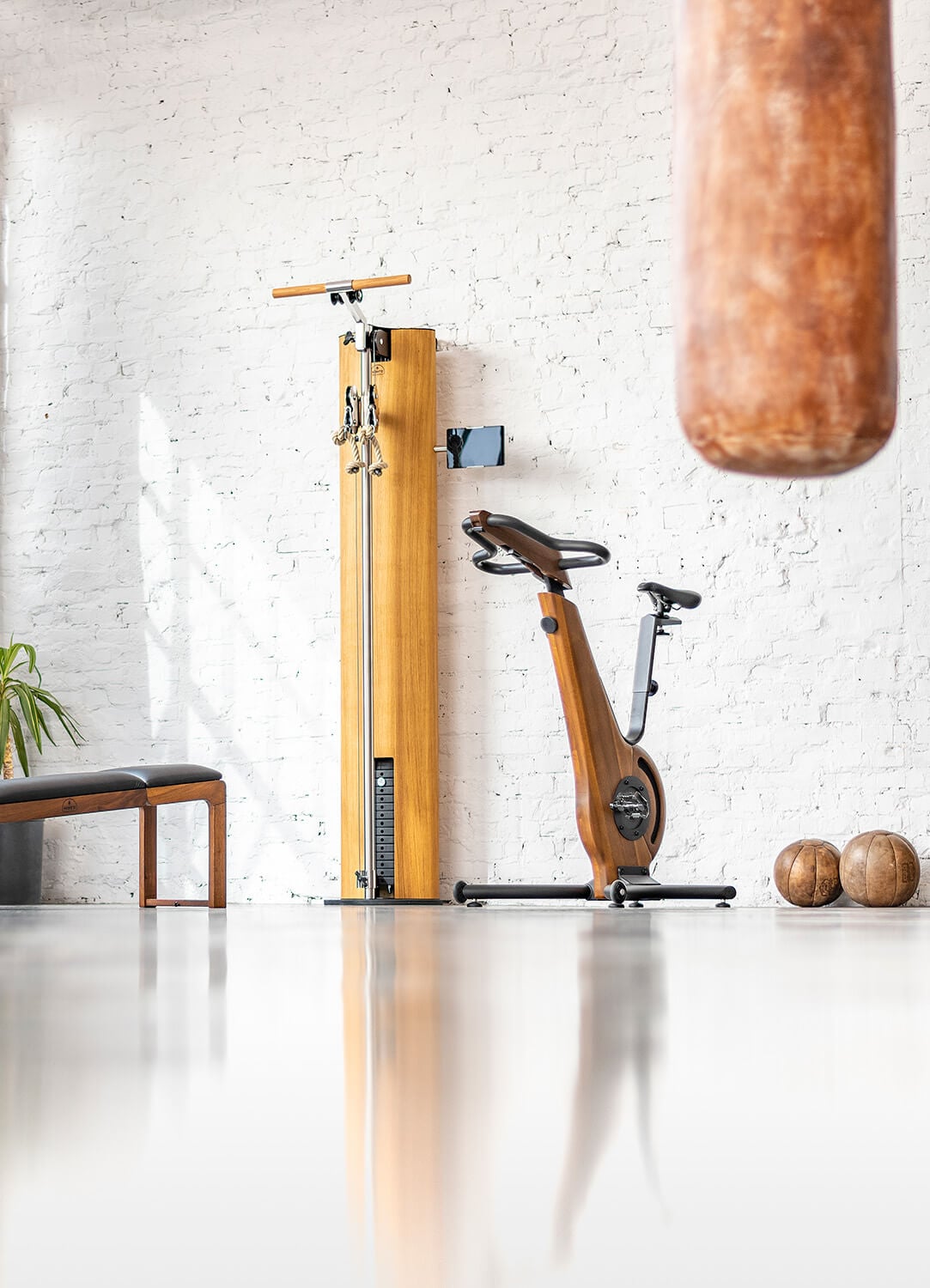 Waterrower Nohrd rowing machine with dark wood frame against white brick wall, alongside leather medicine balls and punching bag.
