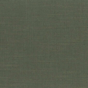 Green fabric sample, dense woven texture, rectangular pattern, consistent muted tone, “5412 muschio” text printed on lower right corner.