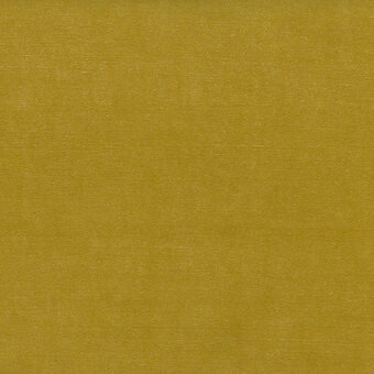 Mostarda yellow textured surface, granular matte finish, consistent tone with subtle variations, even diffuse lighting, no pattern visible.
