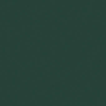 Muted green textured background, forest green tone, granular matte surface, solid color composition, understated visual structure.