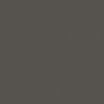 Textured surface in brownish-gray tones with a granular quality, displaying subtle tonal variations and a diffused, even lighting scheme.