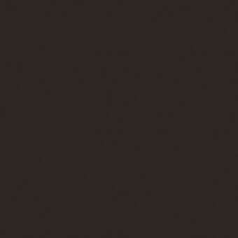 Dark brown matte surface, uniform color field, subtle tonal gradient, smooth texture, consistent lighting, no pattern or visible markings present.