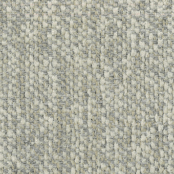 Calypso - 3546