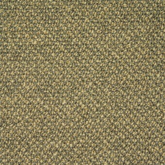Muted olive green and tan texture composed of small, irregular rounded forms with a rough, granular surface and diffused lighting.