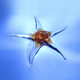 Distinguished Duccio di Segna Sea Star sculpture crafted in radiant Colle Val d'Elsa crystal with amber accents