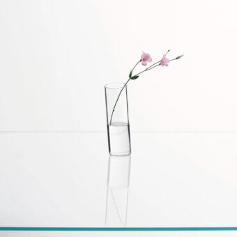 Elegant Glas Italia Bow vase crafted in transparent borosilicate glass with a colorless finish for refined lightness