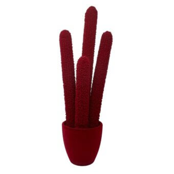 Cactus arrangement, burgundy flocked stalks, rounded pot, white background, studio lighting, textural detail, saturated color, simple form.