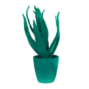 Aloe plant, emerald green resin, cylindrical pot with upward-curving leaves against a white backdrop, studio lighting.