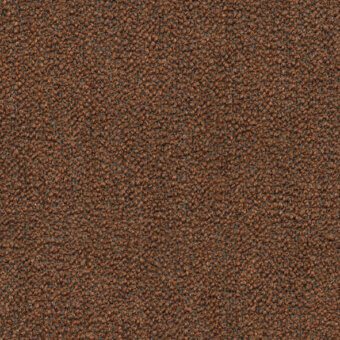 F029