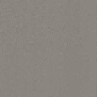 GLW04-Castoro