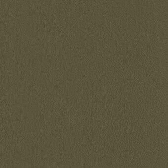 GLW12-Oliva