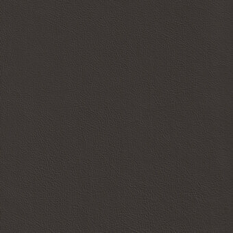 GLW15-Carbon