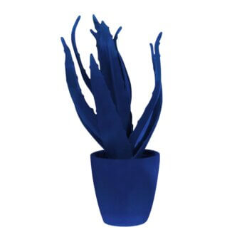 Aloe plant in petrol blue ceramic pot, lance-shaped leaves radiate from center, matte finish, white background, diffused lighting.