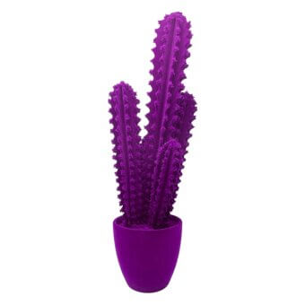 Purple cactus in rounded pot against white backdrop, columnar segmented form with prickly protrusions, matte texture, minimalist composition.