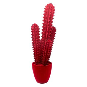Artificial cactus, red ceramic pot, columnar stems with textured surface, studio shot, white background, modern design, retail display.