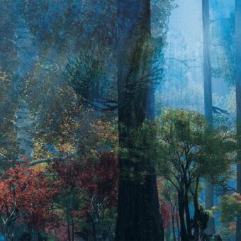 Elegant Adriani e Rossi Enchanted Forest wallpaper depicting autumnal woodland in cool blue and green shades with gold accents and soft-touch finish