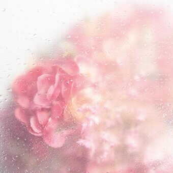 Elegant Adriani e Rossi Greta wallpaper in blurred pink and peach with textured glass-like surface and fiberglass finish