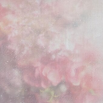 Superior Adriani e Rossi Hydrangea wallpaper in delicate pink with subtle surface textures and customizable premium finishes