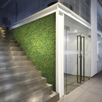 Distinguished Adriani e Rossi Lichen Green Wall covering crafted with preserved lichen for a tactile, organic aesthetic