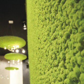 Exceptional Adriani e Rossi Lichen Green Wall panel crafted with preserved green lichen in a matte finish