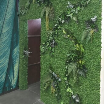 Superior Adriani e Rossi Lichen with Leaves green wall crafted in preserved lichen and foliage with matte finish