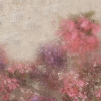 Superior Adriani e Rossi Souvenir wallpaper with abstract floral design in muted pink and purple fiberglass construction