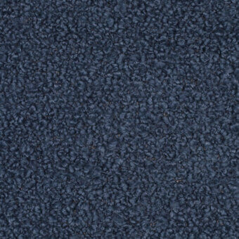 S6F - Pervinca