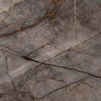 Silver Roots