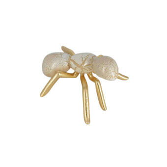 Ant - Cracle Gold Leaf Sculpture
