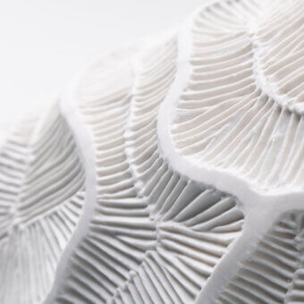 Superior FOS Ceramiche Monolite vase crafted in white biscuit porcelain with an undulating surface and matte finish