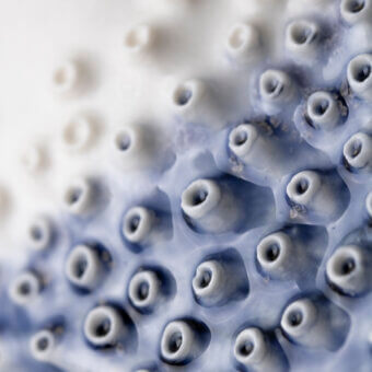 Captivating FOS Ceramiche Oceania blue vase crafted in Italian porcelain with nuanced tonal contrasts and a textured form