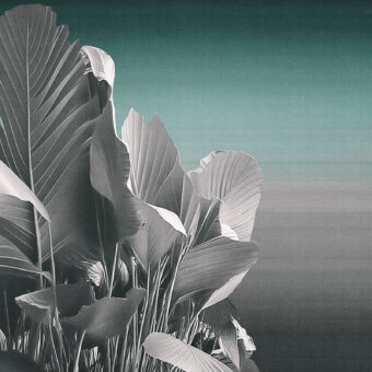 Distinguished LondonArt Etherea wallpaper showcases layered tropical foliage in gray and teal with a softly textured matte finish