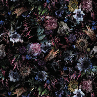 Distinguished LondonArt Rio Wallpaper showcases abundant blooms in muted blues, purples, reds, and hints of yellow with a dramatic black background and matte finish