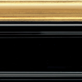 3L02-Black 100 gloss + 4O01-Gold leaf