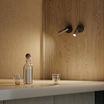 Beak Ceiling / Wall Lamp