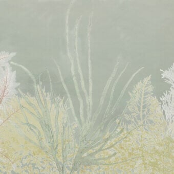 Sophisticated Wall&Decò Algife wallpaper with delicate seaweed and coral silhouettes in muted green and yellow tones with matte finish