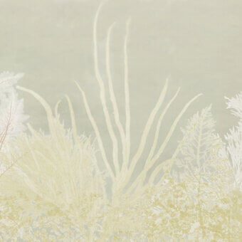 Elegant Wall&Decò Algife wallpaper with seaweed and coral silhouettes printed on water-based resins in cream, beige, and pale green hues