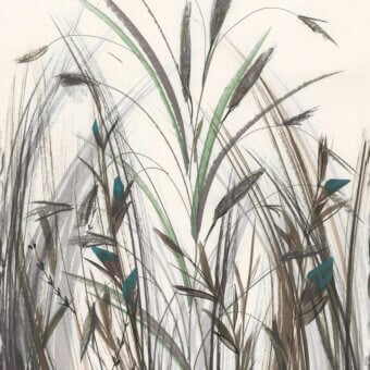 Distinguished Wall&Decò Arundo wallpaper displays botanical reeds in muted green, brown and teal with a waterproof base